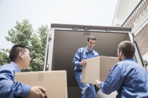 Careful moving support for a flat or family home