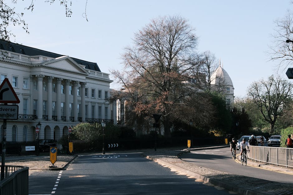 A quiet residential street scene featuring a narrow tarmac road lined by tall, leafy green trees on both sides, casting shade over the pavement and road. The road curves gently to the right and is bor